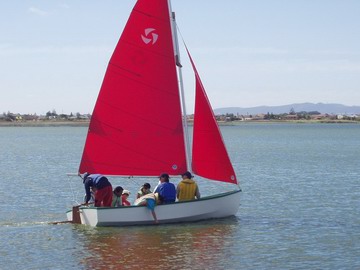 Swiftsail14