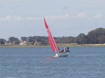 Swiftsail16