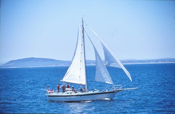 sail5